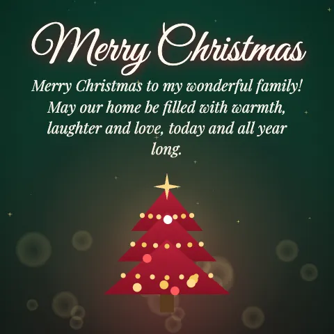 Merry Christmas message card: “Merry Christmas to my wonderful family! May our home be filled with warmth, laughter and love, today and all year long.”
